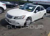 2010 Honda Accord фото