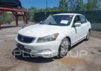 2010 Honda Accord photo