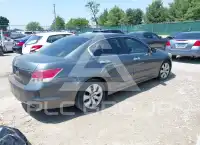 2010 Honda Accord фото