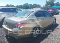 2010 Honda Accord фото