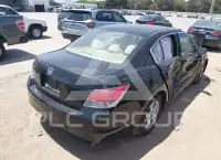 2010 Honda Accord фото
