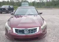 2010 Honda Accord photo