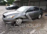 2010 Honda Accord фото