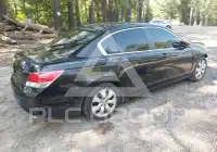 2010 Honda Accord photo