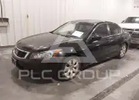 2010 Honda Accord фото