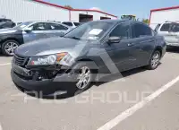 2010 Honda Accord photo