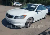 2010 Honda Accord фото