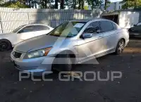 2010 Honda Accord photo