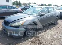 2010 Honda Accord фото