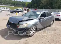 2010 Honda Accord фото