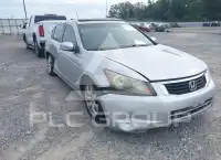 2010 Honda Accord фото