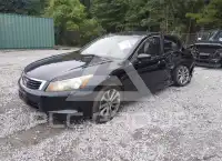2010 Honda Accord фото