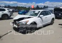 2010 Honda Accord фото