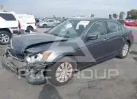 2010 Honda Accord photo