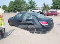 2010 Honda Accord фото