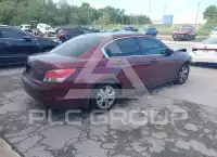 2010 Honda Accord photo