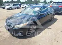 2010 Honda Accord photo