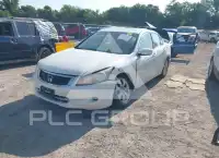 2010 Honda Accord photo