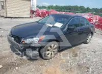 2010 Honda Accord фото