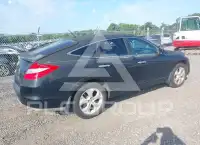 2010 Honda Accord photo