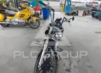 2010 Honda VT1300 photo
