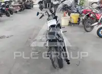 2010 Honda VT1300 photo