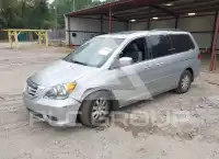 2010 Honda ODYSSEY фото