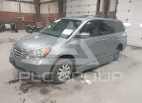 2010 Honda ODYSSEY фото