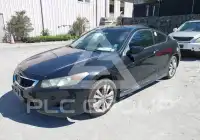 2010 Honda Accord photo