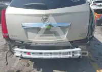 2010 Cadillac SRX фото