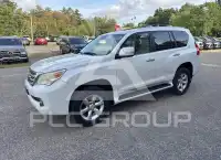 2010 Lexus GX460 фото