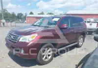 2010 Lexus GX460 фото
