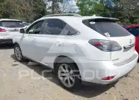 2010 Lexus RX350 photo