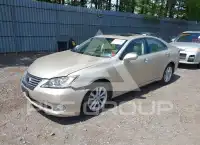 2010 Lexus ES350 фото