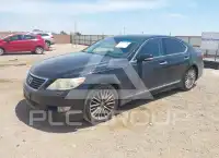 2010 Lexus LS460 фото