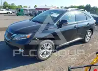 2010 Lexus RX450 фото