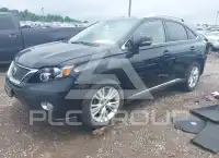 2010 Lexus RX450 фото