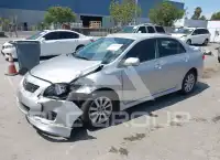 2010 Toyota COROLLA фото
