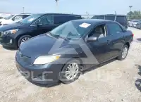 2010 Toyota COROLLA фото