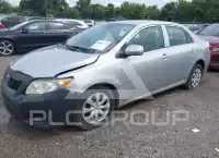 2010 Toyota COROLLA photo