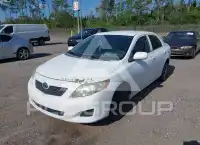 2010 Toyota COROLLA фото