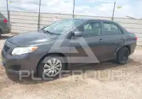 2010 Toyota COROLLA фото