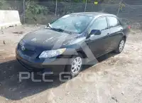 2010 Toyota COROLLA photo
