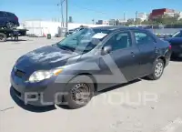 2010 Toyota COROLLA photo