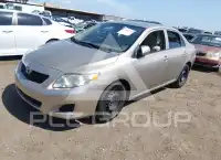 2010 Toyota COROLLA фото