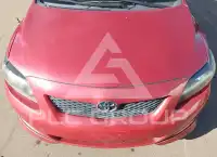 2010 Toyota COROLLA photo