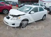 2010 Toyota COROLLA photo