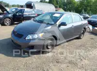 2010 Toyota COROLLA photo