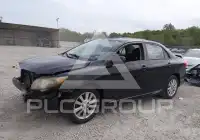 2010 Toyota COROLLA photo