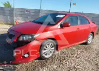 2010 Toyota COROLLA фото